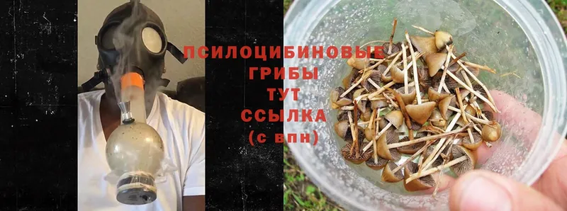 Галлюциногенные грибы Psilocybine cubensis  гидра онион  Сысерть 